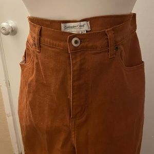 Coldwater Creek jeans.  Size 12P.  NEW!  Never worn, not even washed!